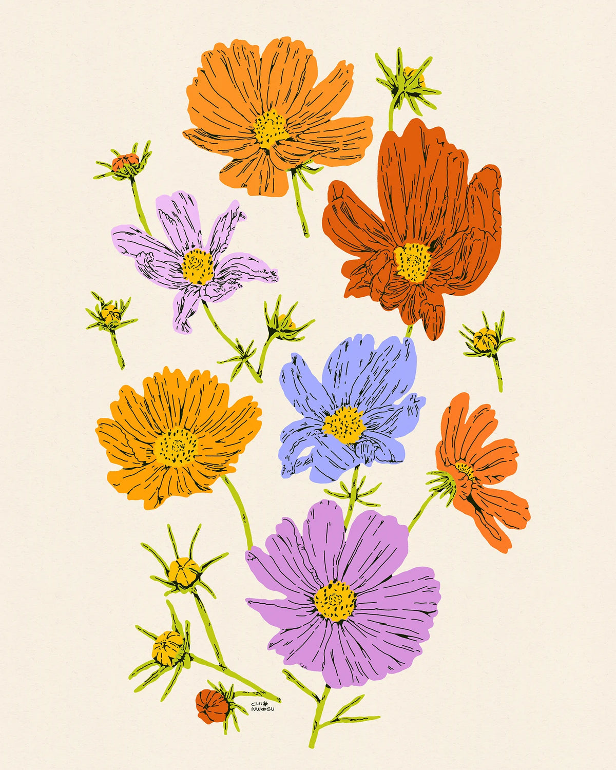 Cosmos Art Print | Humboldt House