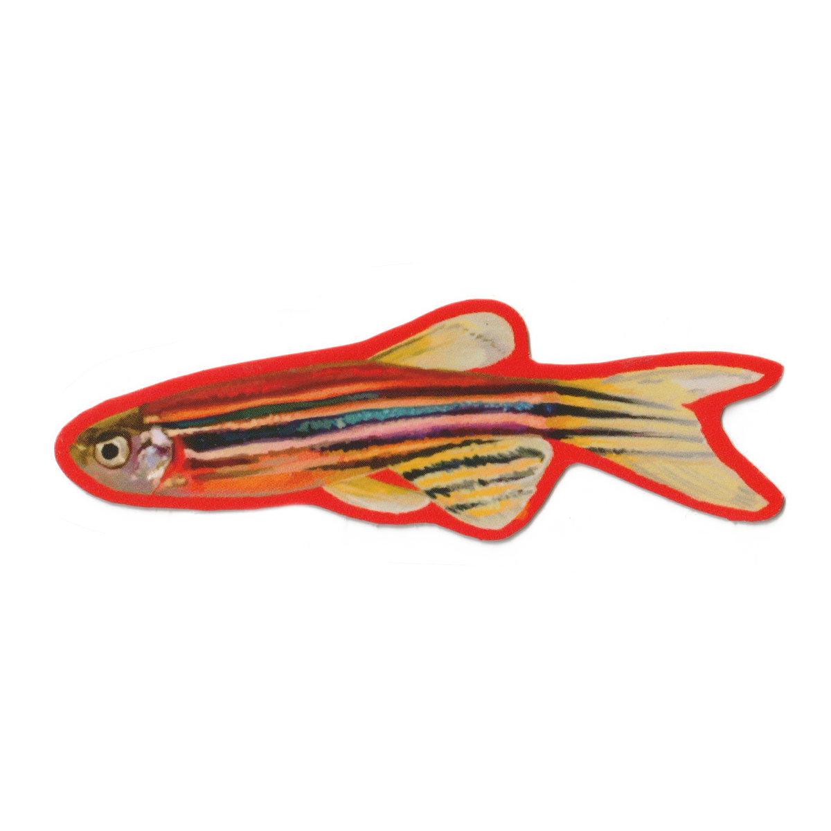 Red Fish Sticker | Humboldt House