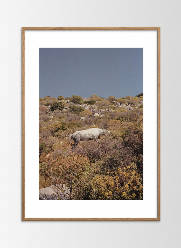 Camouflage Framed Print