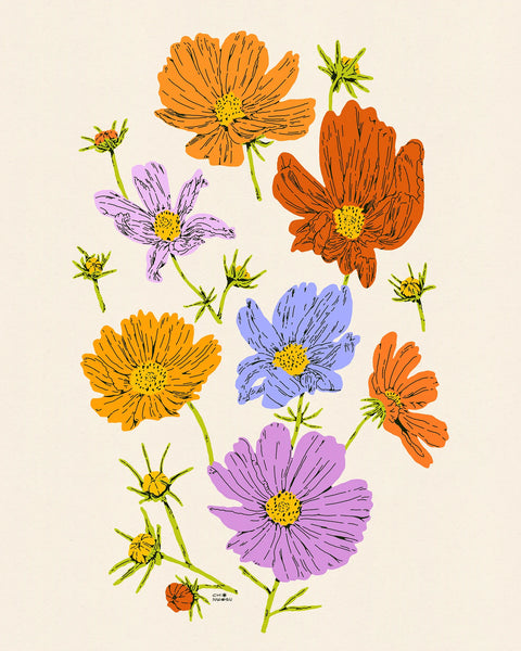 Cosmos Art Print | Humboldt House